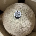 Food Recall: Malichita Fresh Uncut Cantaloupe Fruit [Canada]
